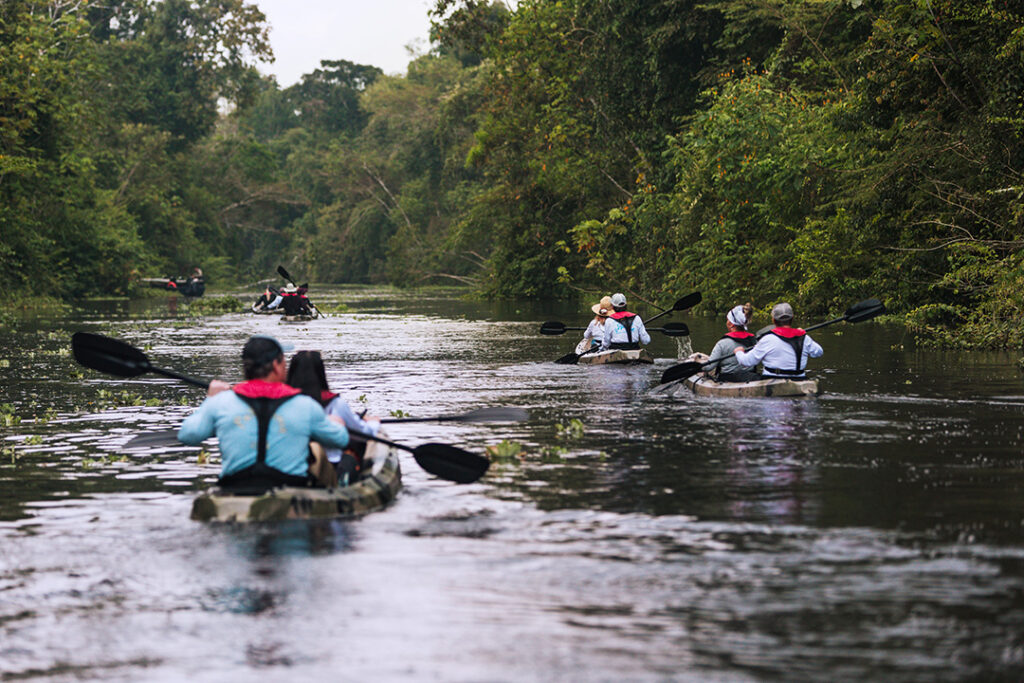 Passeios de caiaque no rio amazonas.