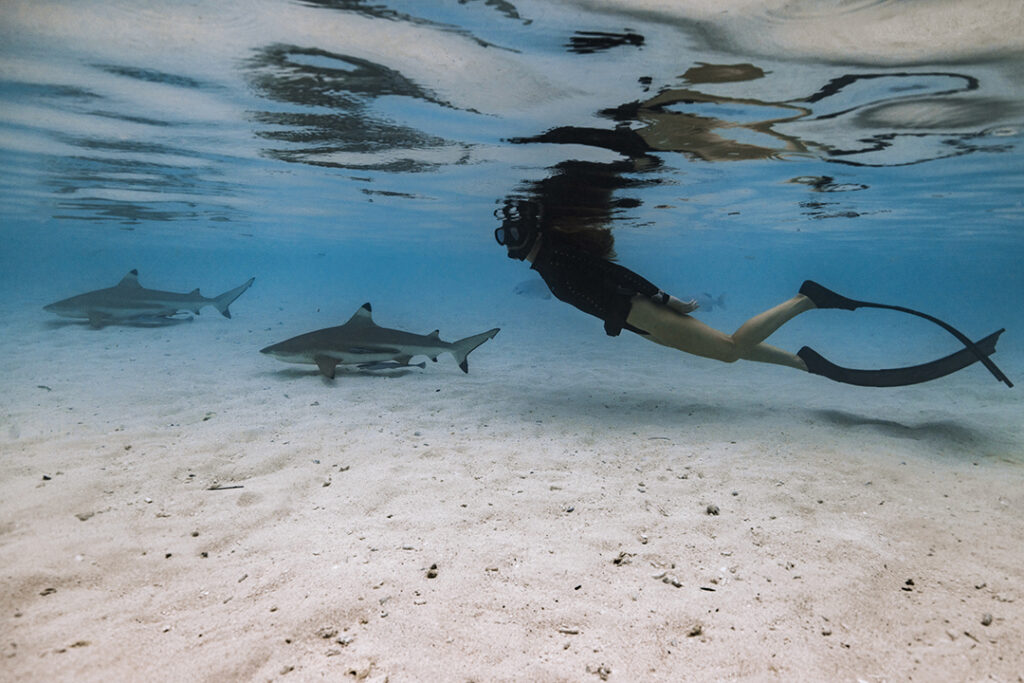 Garanta sua aventura de luxo em alto-mar! Mulher mergulhando de snorkeling e pé de pato em praia com tubarões, uma das aventuras de luxo em alto-mar oferecidas pela Inguz,