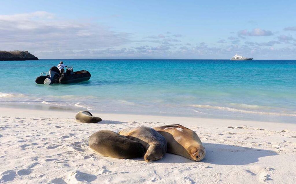 Galápagos é um dos destinos que você pode conhecer ao fazer um dos cruzeiros em iates de luxo da Aqua Expeditions