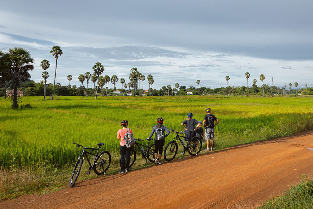 Grupo de turistas com bicicletas parados em uma estrada de terra batida, observando um vasto campo de arroz verde vibrante às margens do rio Mekong, com palmeiras e céu nublado.