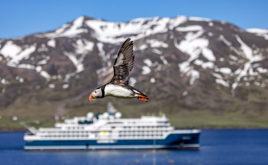 Para quem quer uma viagem em navio luxuoso, a Swan Hellenic é uma ótima opção!