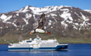 Para quem quer uma viagem em navio luxuoso, a Swan Hellenic é uma ótima opção!