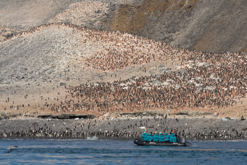 Antártica é uma das melhores viagens em navio luxuoso que você pode fazer com a Swan Hellenic