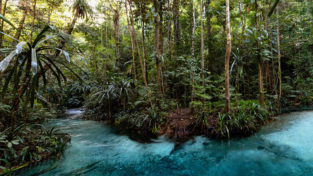 Um rio de águas turquesas extremamente transparentes serpenteia por uma densa e exuberante floresta tropical. A foto destaca a beleza natural intocada que se pode descobrir ao viajar para a Indonésia e Raja Ampat.