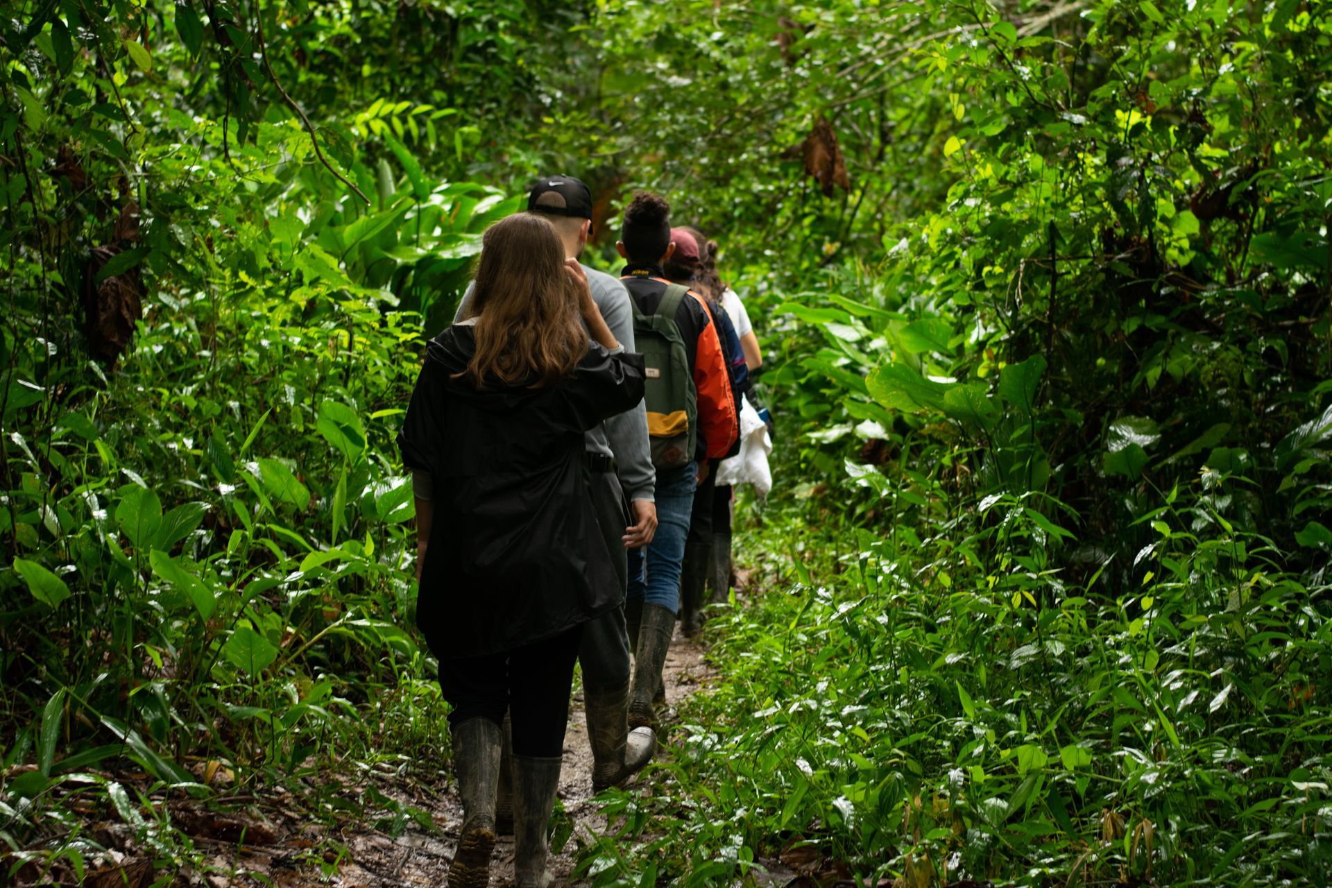 Grupo de turistas caminhando em trilha na floresta tropical durante expedição de exploração da Inguz Expedições Fluviais.